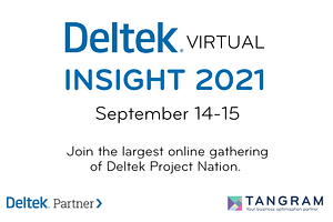 Deltek Insight Image